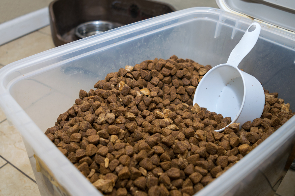 Can I Feed My Canine Retailer-Bought Kibble? Vet-Approved Weight-reduction plan Info – Dogster